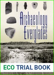 Archaeology of the Everglades (Florida Museum of Natural History: Ripley P. Bullen Series)