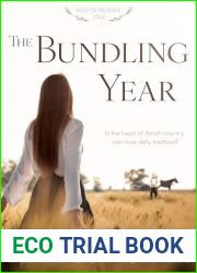 The Bundling Year (Field of Promise 1): A Non-Traditional Contemporary Amish Romance