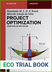 Project Optimization: Using MATLAB and SOLVER (De Gruyter Textbook)