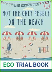 Not the Only Pebble on the Beach: Seaside Bookshop Mystery Series Book 3 (Seaside Bookshop Mysteries)
