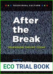 After the Break: Television Theory Today
