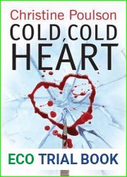 Cold, Cold Heart (Katie Flanagan, #2)
