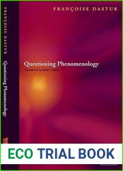 Questions of Phenomenology: Language, Alterity, Temporality, Finitude (Perspectives in Continental Philosophy)