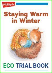 Staying Warm in Winter