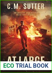 At Large (Detective Jesse McCord #2)