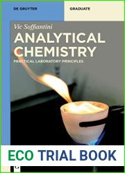 Analytical Chemistry: Principles and Practice (De Gruyter Textbook)