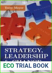 Strategy, Leadership and Change: A Practical Guide for Busy Executives