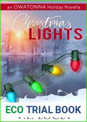 Christmas Lights (Owatonna U Hockey #3.5)