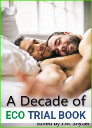 A Decade of Gay Romance