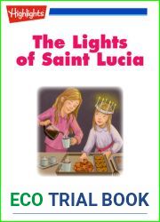 The Lights of Saint Lucia