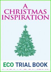 A Christmas Inspiration