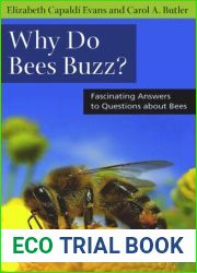 Why Do Bees Buzz?