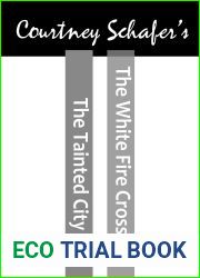 The Shattered Sigil Series
