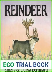 Reindeer
