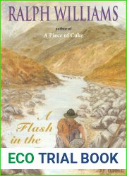 A Flash in the Pan (Harry Evans Book 3)