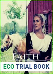 Faith (The Amish Buggy Horse, #1)