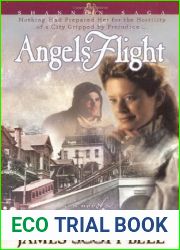 Angels Flight (Shannon Saga #2)