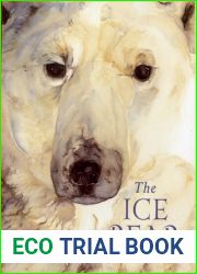 The Ice Bear
