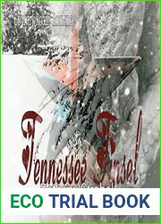 Tennessee Tinsel (Country Roads Romance, #1)