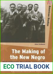 The Making of the New Negro: Black Authorship, Masculinity, and Sexuality in the Harlem Renaissance (Amsterdam University Press: American Studies)