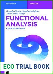 Functional Analysis: A Terse Introduction (De Gruyter Textbook)