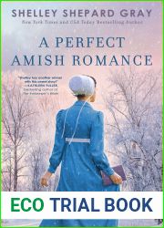 A Perfect Amish Romance (Berlin Bookmobile #1)