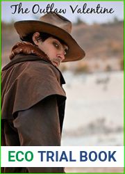 The Outlaw Valentine