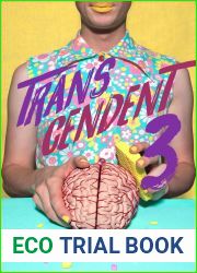 Transcendent 3: The Year|s Best Transgender Speculative Fiction