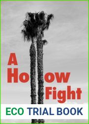 A Hollow Fight