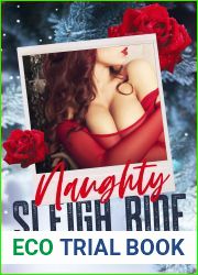 Naughty Sleigh Ride