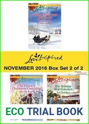 Harlequin Love Inspired November 2016 - Box Set 2 of 2: An Anthology
