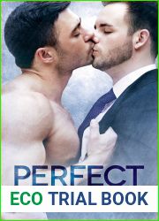 Perfect (Soulmates, #3)