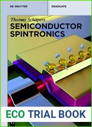 Semiconductor Spintronics (De Gruyter Textbook)