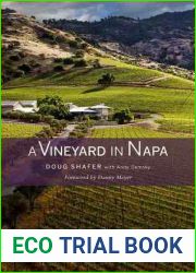 A Vineyard in Napa