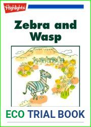 Zebra and Wasp