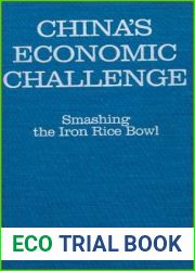 China|s Economic Challenge: Smashing the Iron Rice Bowl: Smashing the Iron Rice Bowl