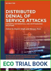 Distributed Denial of Service Attacks: Concepts, Mathematical and Cryptographic Solutions