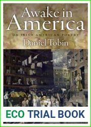 Awake in America: On Irish American Poetry