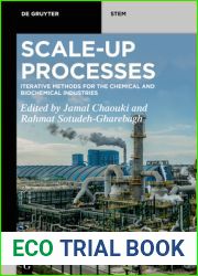 Scale-Up Processes: Iterative Methods for the Chemical, Mineral and Biological Industries