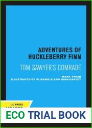 Adventures of Huckleberry Finn, Tom Sawyer|s comrade