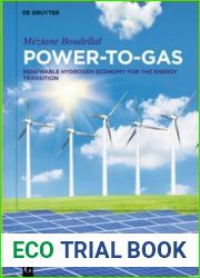 Power-To-Gas: Renewable Hydrogen Economy for the Energy Transition