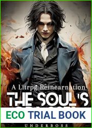 The Soul|s Odyssey : A Litrpg Reincarnation