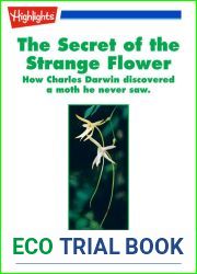 The Secret of the Strange Flower