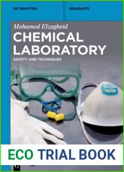 Chemical Laboratory: Safety and Techniques (De Gruyter Textbook)