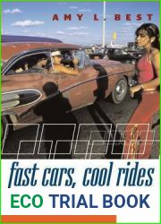 Fast Cars, Cool Rides: The Accelerating World of Youth and Their Cars