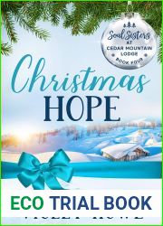 Christmas Hope (Soul Sisters at Cedar Mountain Lodge, #4)