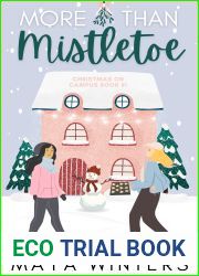 More than Mistletoe (Christmas on Campus #1)