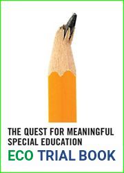 The Quest for Meaningful Special Education