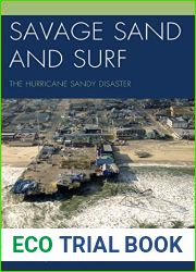 Savage Sand and Surf: The Hurricane Sandy Disaster