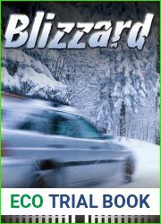 Blizzard